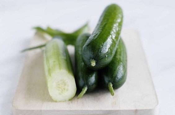 Cucumber