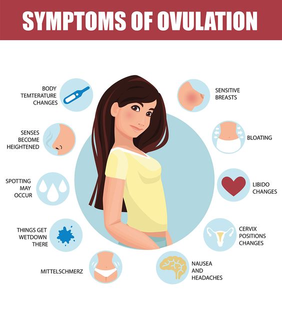 Symptoms Of Ovulation