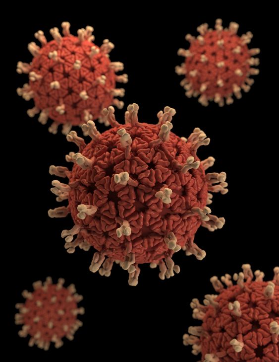 Corona virus