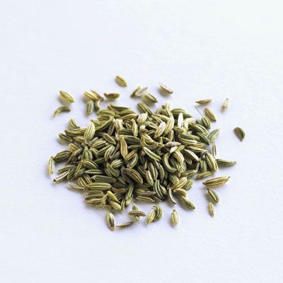 Fennel Seeds