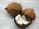 Raw Coconut In Pregnancy