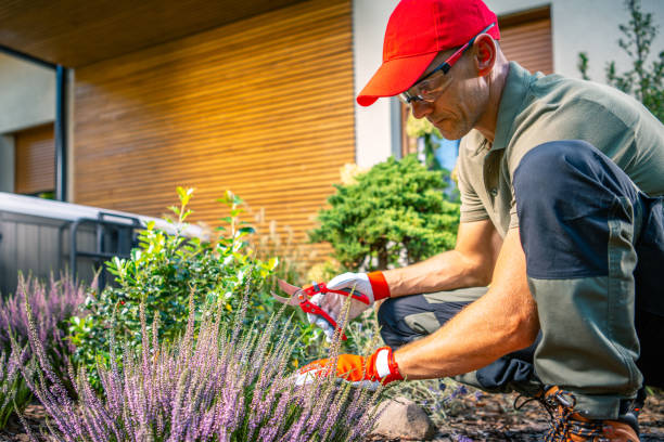 Keep Gardens Well Maintained