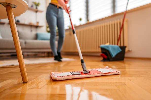 How to Keep Home Pest Free in Monsoon