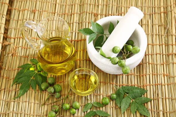 Effective Homemade Pest Repellent To Use During Monsoon