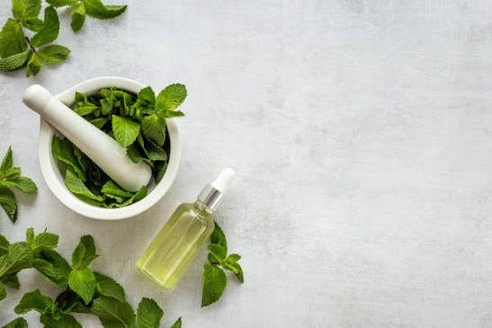 Effective Homemade Pest Repellent To Use During Monsoon